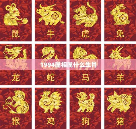 1994年生肖|94年是属什么生肖？